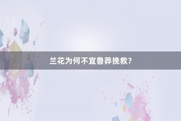 兰花为何不宜鲁莽挽救?