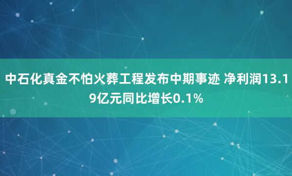 中石化真金不怕火葬工程发布中期事迹 净利润13.19亿元同比增长0.1%